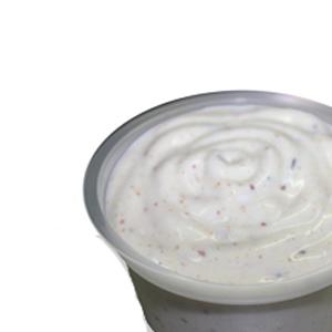 Salsa Yogurt